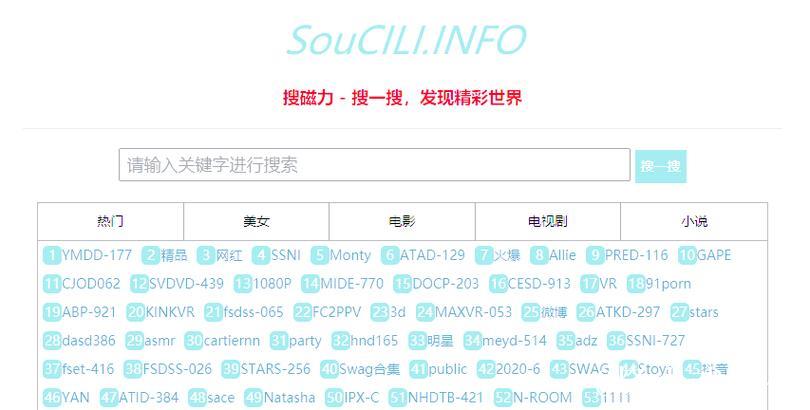 2023年最佳磁力搜索引擎推荐指南