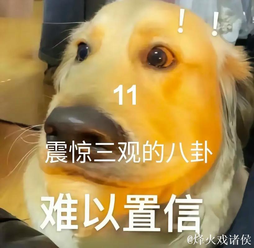 吃瓜网群里的八卦日常